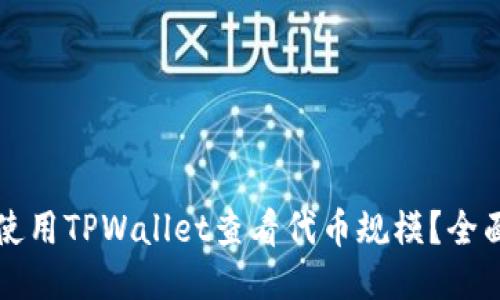如何使用TPWallet查看代币规模?全面指南